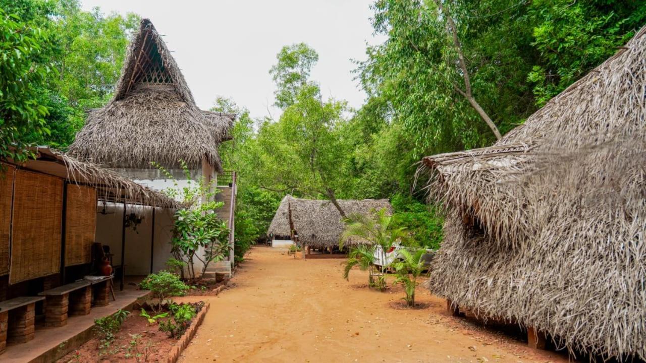 Nebula Nest Cafe & Hostel Ауровиль Экстерьер фото