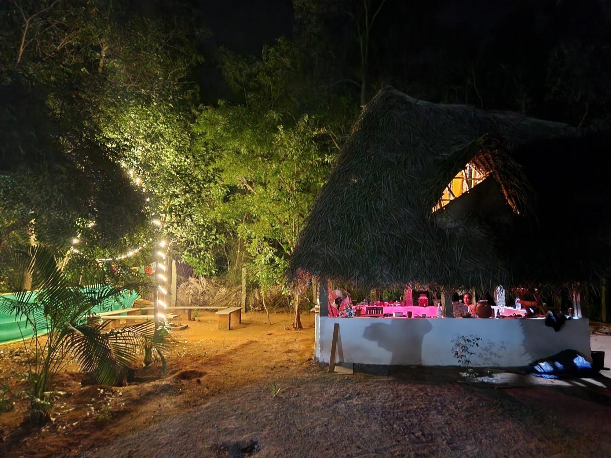 Nebula Nest Cafe & Hostel Ауровиль Экстерьер фото